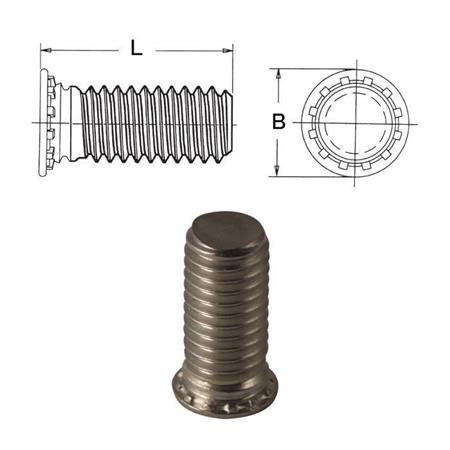 PERNO AUTOAGGANCIANTE ZINCATO     MM. 5 X 10
